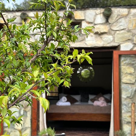 Stormsriver Backpackers Dijembe 스톰스리비에르 외부 사진